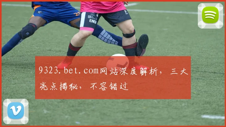 9323.bet.com网站深度解析，三大亮点揭秘，不容错过