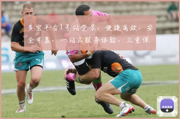 多宝平台1号站登录，便捷高效，安全可靠，一站式服务体验，三重保障，必选首选