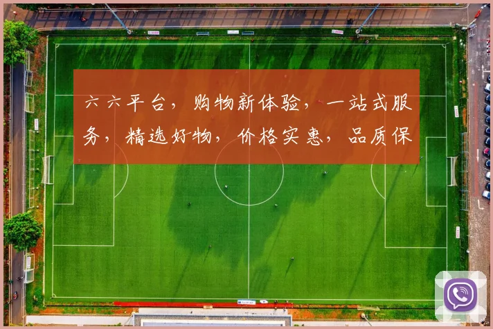 六六平台，购物新体验，一站式服务，精选好物，价格实惠，品质保证，值得信赖，三重惊喜等你来