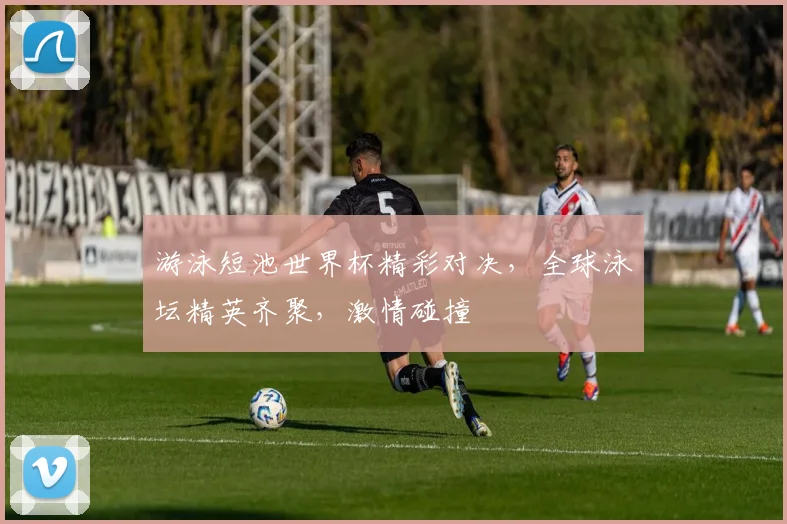 游泳短池世界杯精彩对决，全球泳坛精英齐聚，激情碰撞