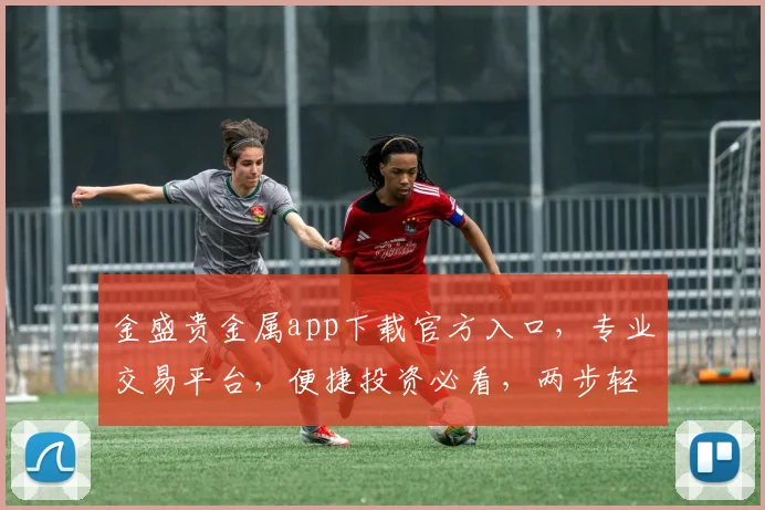 金盛贵金属app下载官方入口，专业交易平台，便捷投资必看，两步轻松获取